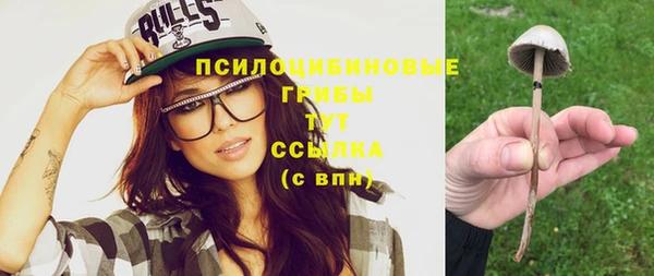 мдпв Семёнов
