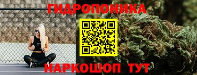 PSILOCYBIN Сланцы
