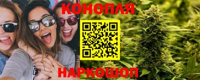 PSILOCYBIN Сланцы