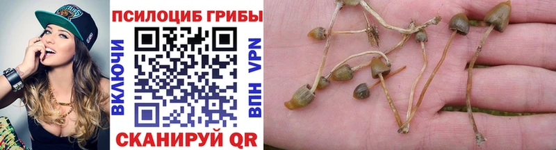 Галлюциногенные грибы Cubensis  omg ONION  Верхняя Салда 